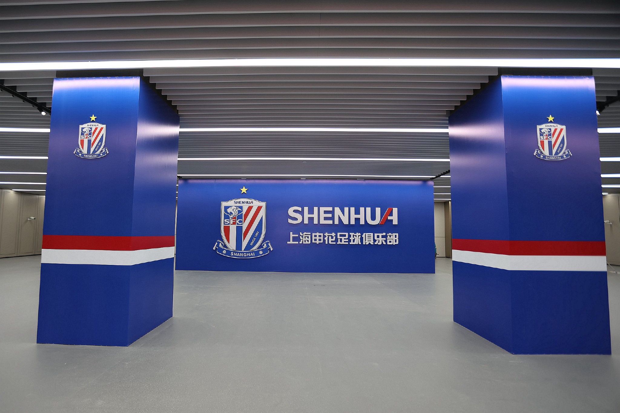 他们都知道费可欣，在今天出事之前，他们还在讨论费可欣重返费家，并且奇迹般成为费家新一任家主的事情。